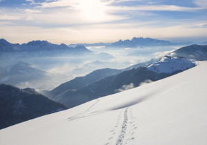 化橘红10项地方标准，2项省级标准是什么？