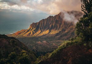 化橘红10项地方标准，2项省级标准是什么？