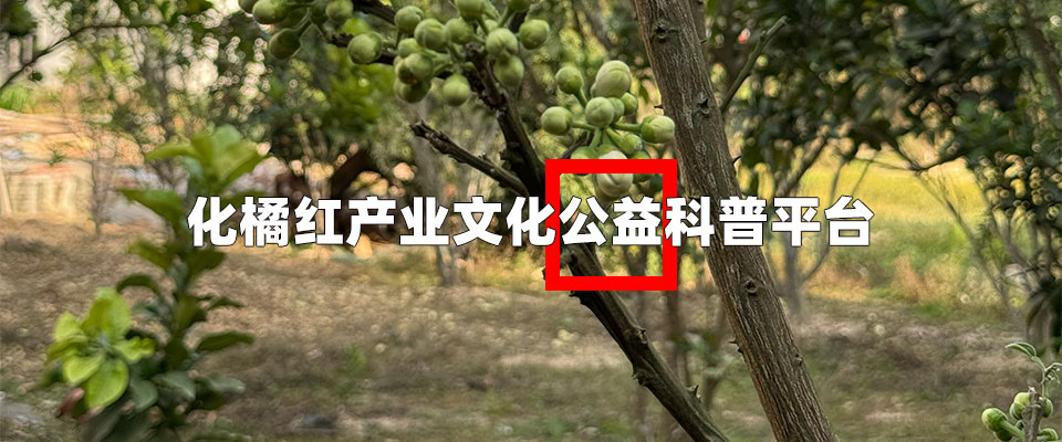 化橘红产业文化公益科普平台