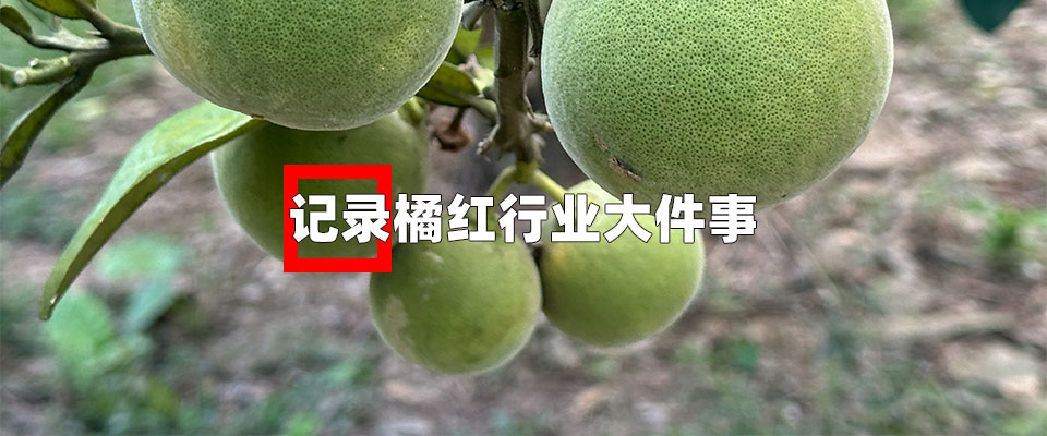 记录行业大件事