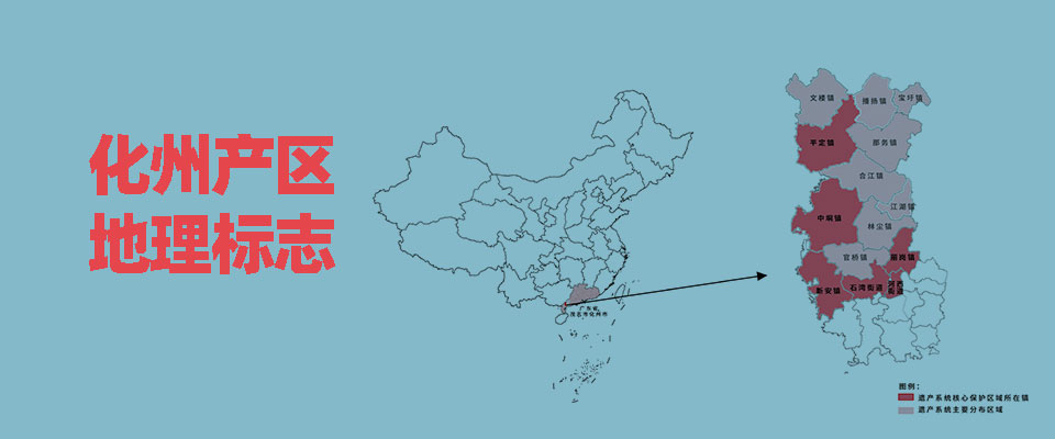 化州化橘红地理产区